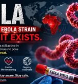 Critical Healthcare Consulting Ebola Virus Outbreak